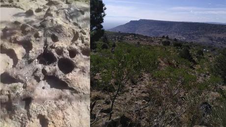Encuentran huellas de puma en la Cañada del Lobo, por donde quieren fraccionar