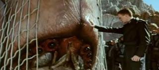 Lorenzo Von Matterhorn