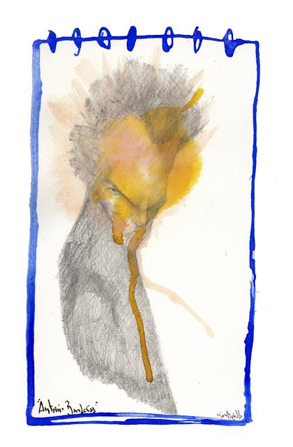 [SONRÍA, POR FAVOR] Es martes, 11 de febrero