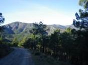 Pico Tornera