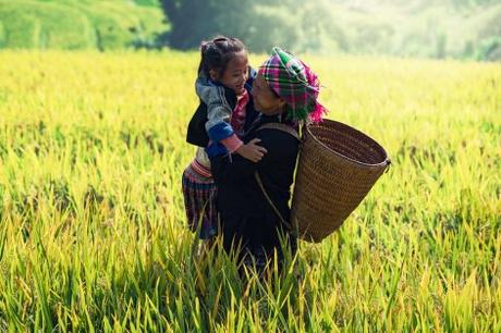 Da todo para que no falte nada Da todo para que no falte nada