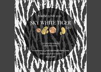 Concierto de Sky White Tiger en Malasaña