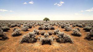 Rocío  Vega: El pacto