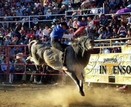 Las Costumbres y Tradiciones Mexicanas ¿Son buenas o malas? jaripeo