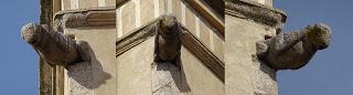 Imagen del mes: Gárgolas de Badajoz Imagen del mes: Gárgolas de Badajoz