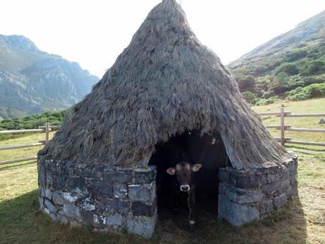 Isoba-Lago Isoba-Fortín de Alboleya-Vegafonda-Lago Ausente