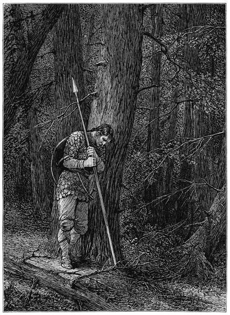 Montones de galerías de imágenes variadas y libres para todos