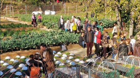 Jardins del Doctor Pla i Armengol, visita este nuevo parque de Barcelona