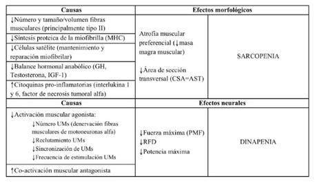 Durante algún tiempo se ha creído que el realizar activid...