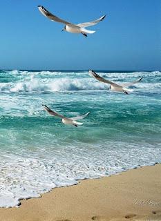 4.111 - ME ENSEÑÓ LA MAR...