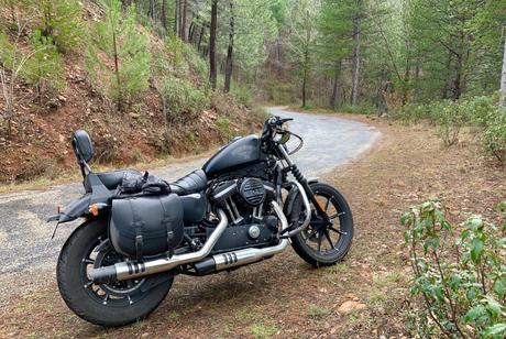 Si te caes, te levantas