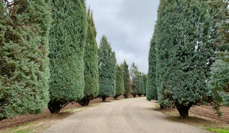 Si te caes, te levantas