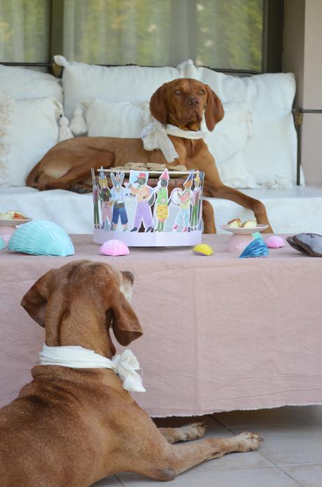 Feliz Cumple perruno con galletas caseras