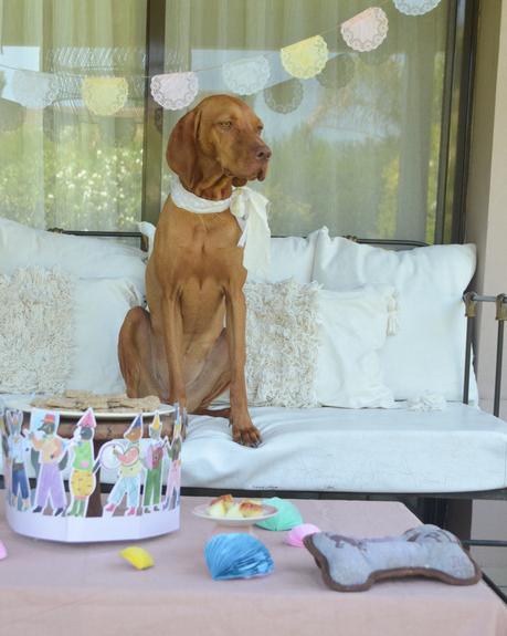 Feliz Cumple perruno con galletas caseras