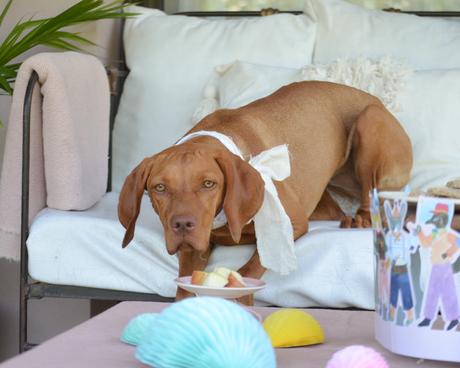 Feliz Cumple perruno con galletas caseras