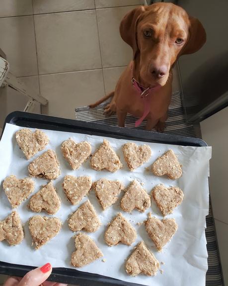 Feliz Cumple perruno con galletas caseras