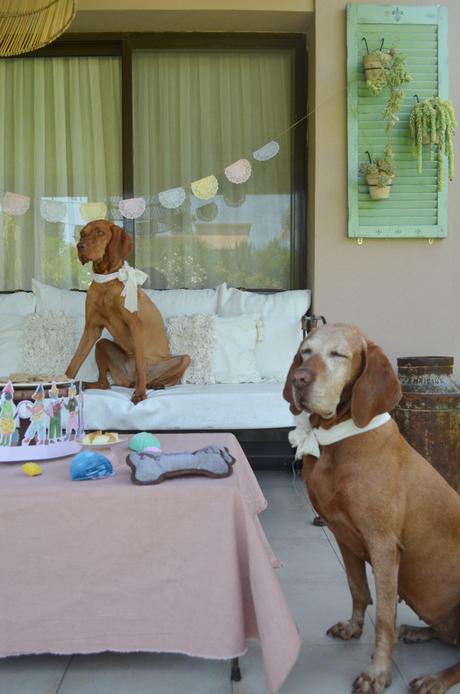 Feliz Cumple perruno con galletas caseras