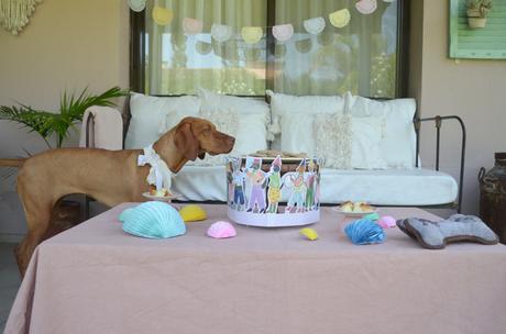 Feliz Cumple perruno con galletas caseras