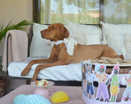 Feliz Cumple perruno con galletas caseras