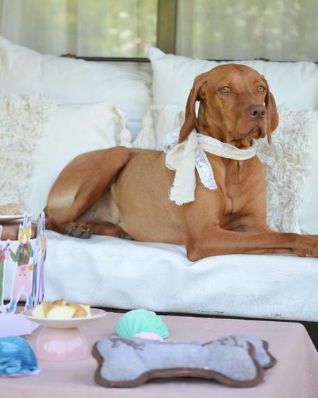 Feliz Cumple perruno con galletas caseras