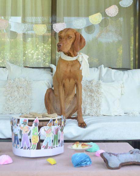 Feliz Cumple perruno con galletas caseras