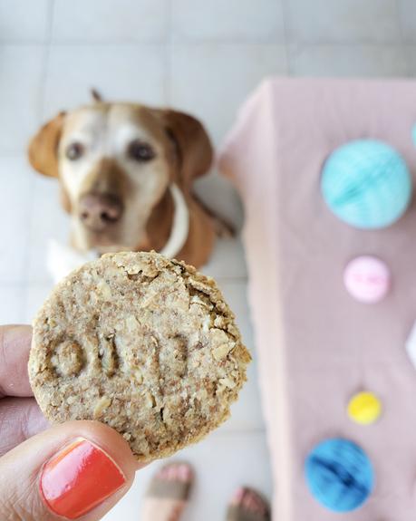 Feliz Cumple perruno con galletas caseras