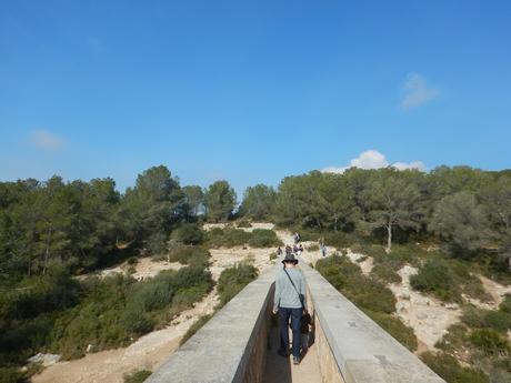 Ruta alrededor del acueducto de les Ferreres o 'Pont del Diable' | Tarragona