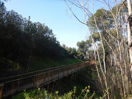 Ruta alrededor del acueducto de les Ferreres o 'Pont del Diable' | Tarragona Ruta alrededor del acueducto de les Ferreres o 'Pont del Diable' | Tarragona
