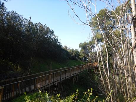 Ruta alrededor del acueducto de les Ferreres o 'Pont del Diable' | Tarragona