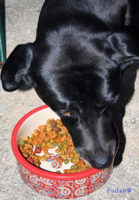 La hora de la cena con Brandon