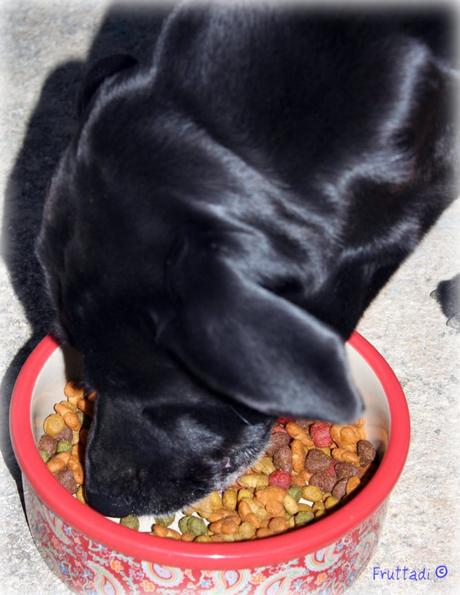 La hora de la cena con Brandon La hora de la cena con Brandon