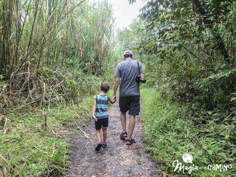 Qué hacer y ver en Costa Rica: itinerarios y consejos