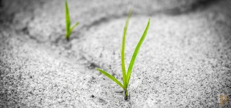 Soy, quiero, somos: Tres poemas para reflexionar | Defensa de la metáfora Soy, quiero, somos: Tres poemas para reflexionar | Defensa de la metáfora