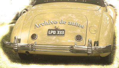 La Preguntita del Domingo 333