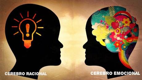 ¿Hay diferencias entre el cerebro femenino y el cerebro masculino?