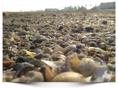 #WeekPic 98 A pie de cangrejo