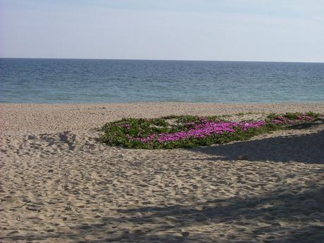 playas de huelva mapa