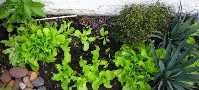 El invierno es el momento para el hogar El invierno es el momento para el hogar