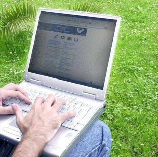 Al parecer, los yanquis se especializan en Bloof-gueros