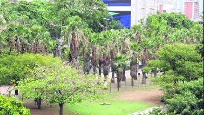 Espacio crítico para la construcción socialista #35: Que se expropie a los latifundistas urbanos pero no los espacios públicos o naturales.