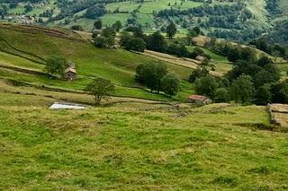 CON EL VIENTO A FAVOR