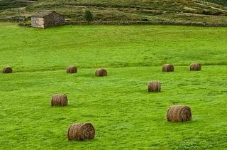 CON EL VIENTO A FAVOR