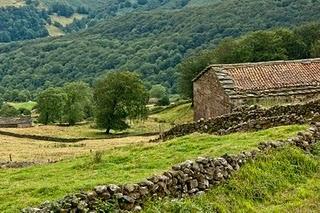 CON EL VIENTO A FAVOR