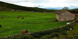 CON EL VIENTO A FAVOR