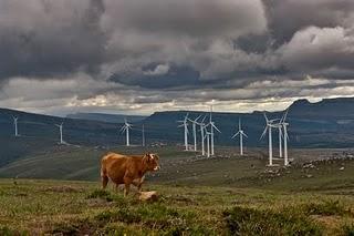 CON EL VIENTO A FAVOR