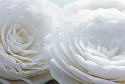 Serum hydra beauty de Chanel