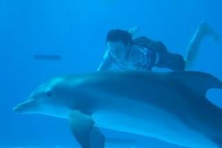Trailer: Dolphin Tale