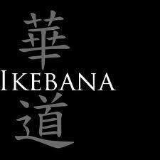 Significado de Ikebana