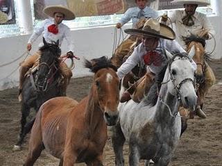 Rancho Nuevo de Tepa, Sublíder 383