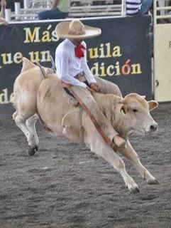 Rancho Nuevo de Tepa, Sublíder 383